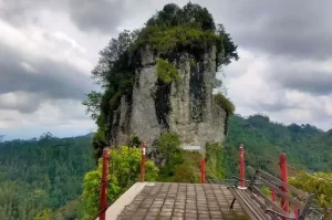 Menikmati Keindahan Pemandangan Alam di Puncak Widosari