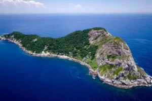 Misteri dan Keunikan Snake Island Paling Mematikan di Brazil