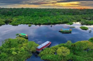 Tanjung Puting, Destinasi Ekowisata Paling Hits di Kalimantan Tengah